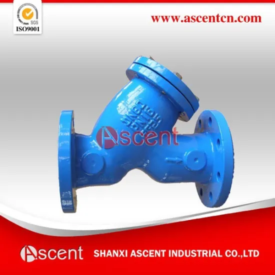 Y Strainer With Flange Connection Ss Screen Iron Body