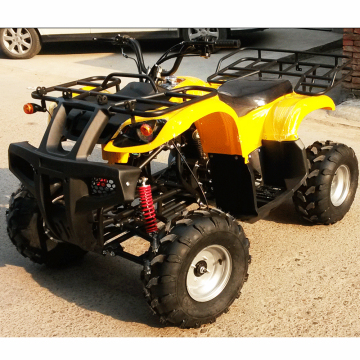 125CC Water-Cooled ATV with Aluminum Wheels and Differential Four-Wheel Drive Beach Bike