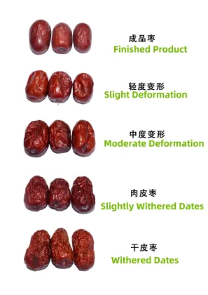 Jujube Sorting Machine: Red Dates Classifier and Fruit Sorting Equipment