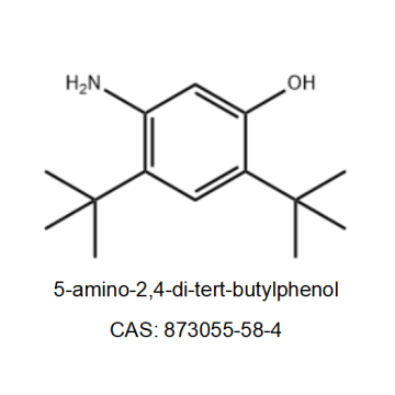 VX-770 Gemiddeld 5-amino-2,4-di-tert-butylfenol CAS No.873055-58-4
