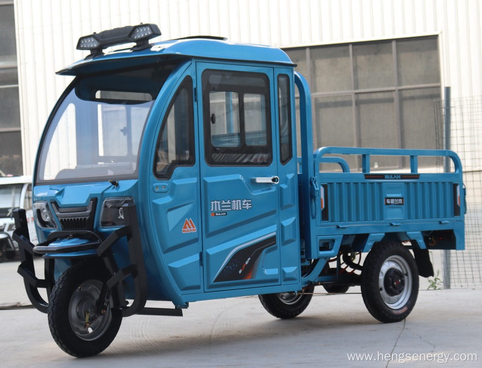 1000W Electric Tricycle Cargo Electric Adult