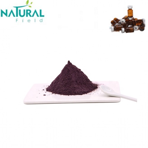 Elderberry Extract Powder Improving immunity elderberry extract powder Manufactory