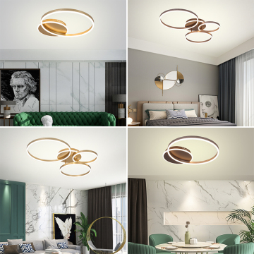 Modern Creative Round Ring LED Ceiling Lamps for Kitchen Home Decor