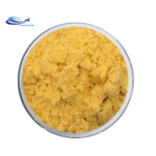 Natural organic Hippophae Rhamnoides Extract powder