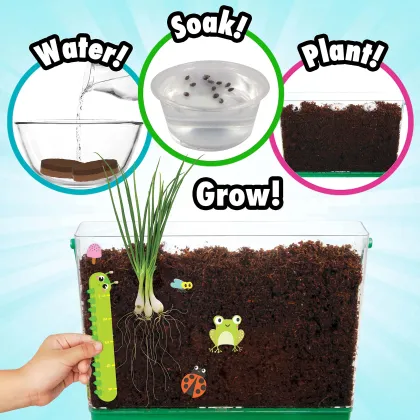 Wholesale Miracle-Gro My First Root Viewer Garden Stem Kit for Kids: Decorate, Plant, and Learn