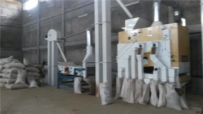 Wheat Maize Cleanign Plant