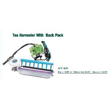 Tea Harvest With Back Pack CY-60