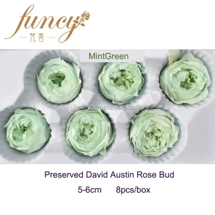 5-6 cm Natural Preserved David Austin Rose Flowers