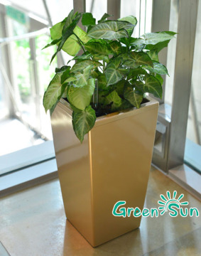 plastic rectangular flowerpot, planter, square, glossy or matte