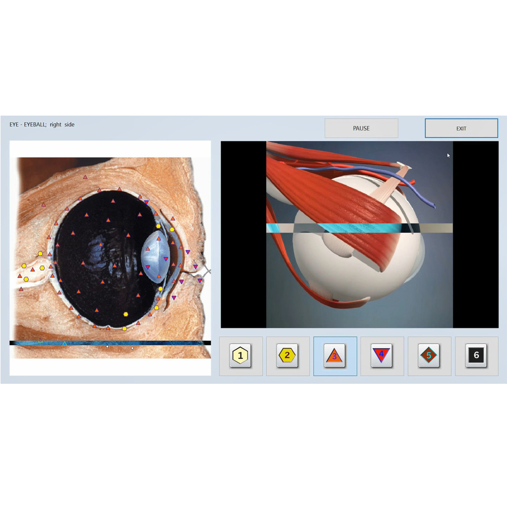 biofeedback روسی نرم افزار ماشین درمانی نرم افزار وکتور V16