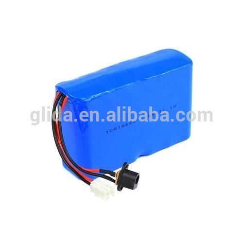 12 Volt Lithium ion Battery OEM/ODM