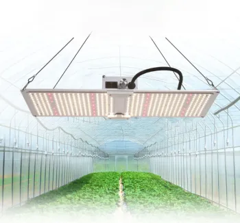 200W Full Spectrum Hydroponic LED Grow Light Bar (Red & Blue) for Greenhouse