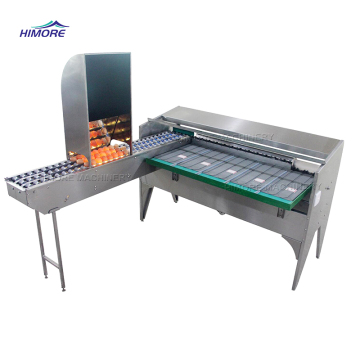 Small Scale Egg Grading and Sorting Machine with Weight Selection and Printing
