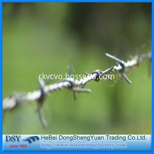 Barbed Iron Wire