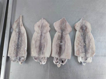 Whole Round Frozen seafood Squid