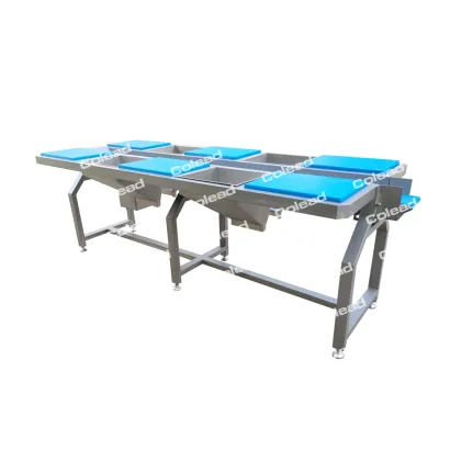 Selection Table Vegetable conveying belt for food