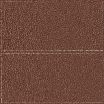 Brown Leather With Frame Decoration Rustic Tile