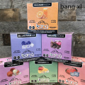 Disposable Vaporizer 600puffs Fruit Flavors Bang XL Vape