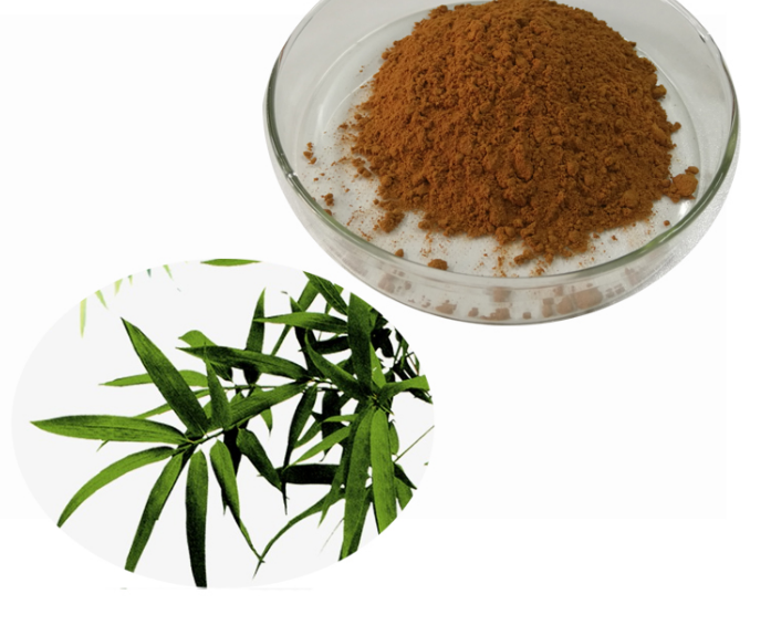 Bamboo Leaf Extract Png