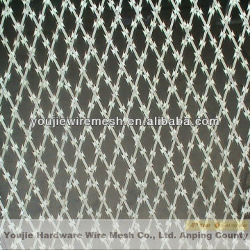 Welded Razor Wire Mesh (High Quality Professional Factory ISO 9001)
