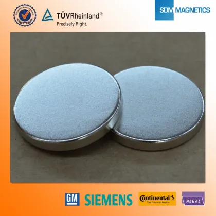 SDM Resonable Price N42 Neo Magnets