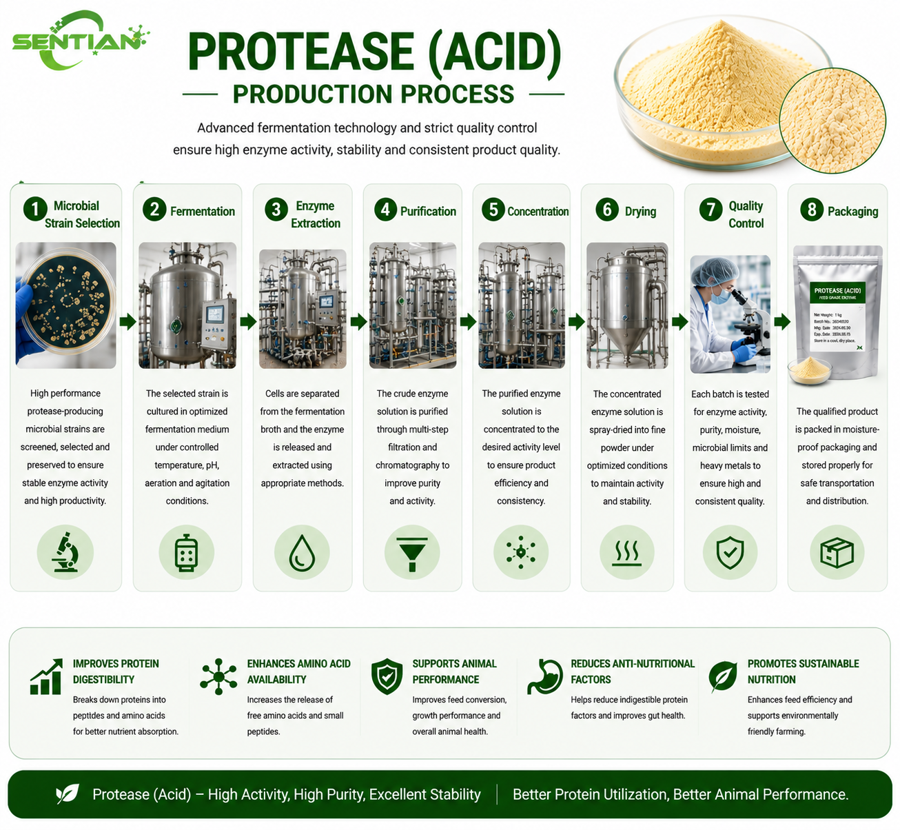 Protease (Acid)1