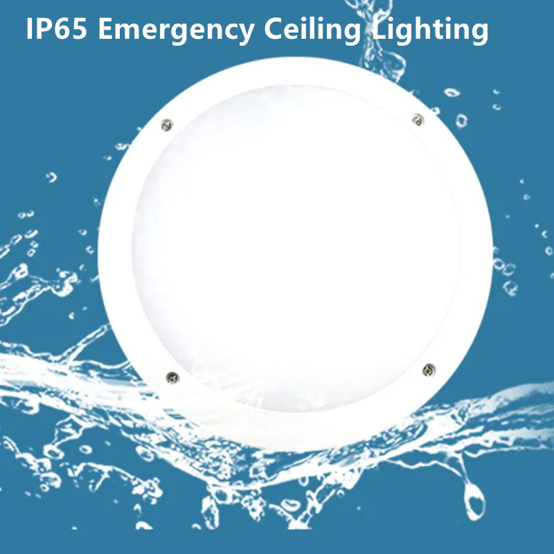 Lampe de cloison d'urgence IP65 avec capteur