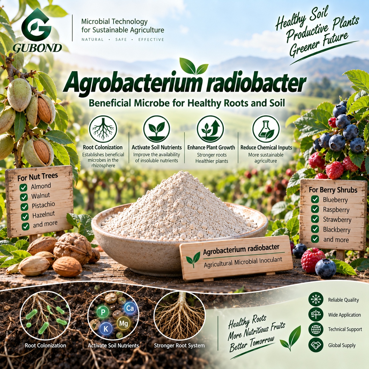Agrobacterium radiobacter (10)