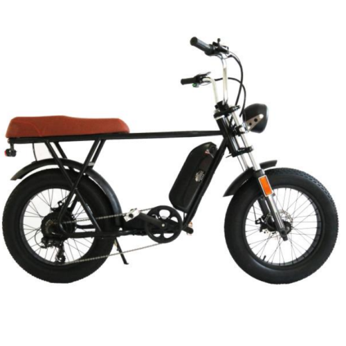 Moped Cruiser Kostenloser Versand Elektrisches Fahrrad