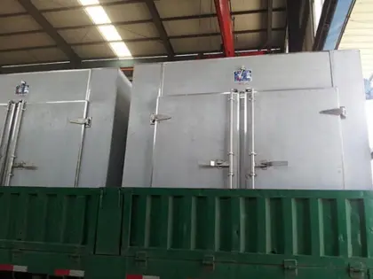Hot Air Circulation Drying Oven for Mango
