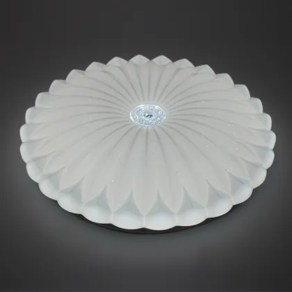 Dimmable White Acrylic Ceiling Light