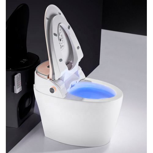 spa hydropool Rose Gold Siphon Flushing P-Tray Toilet Manufactory