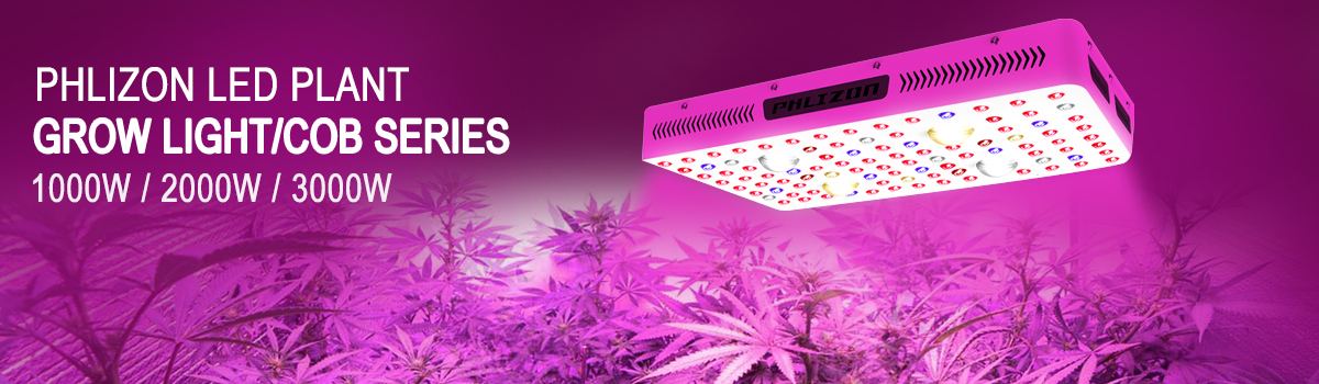 Cob Led Grow Light