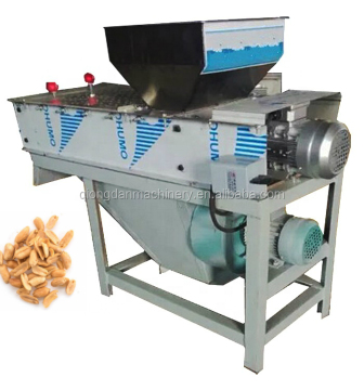 Factory Direct Sales: Coated Peanut Production Line & Automatic Wet Almond Peel Machine