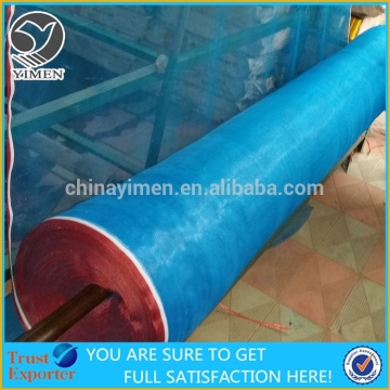 Myanmar Market PE Screen Plastic Net