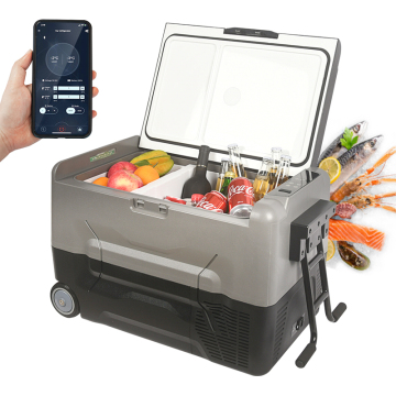 42L Mini 12V Car Fridge: Portable Refrigerator for Boat and Outdoor Activities
