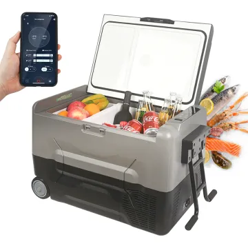 42L Mini 12V Car Fridge: Portable Refrigerator for Boat and Outdoor Activities