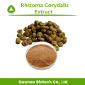 Natuurlijk Rhizoma Corydalis-poeder Corydalis Yanhusuo-extract