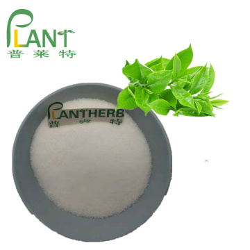 Extracto natural de té verde L-teanina l polvo de teanina