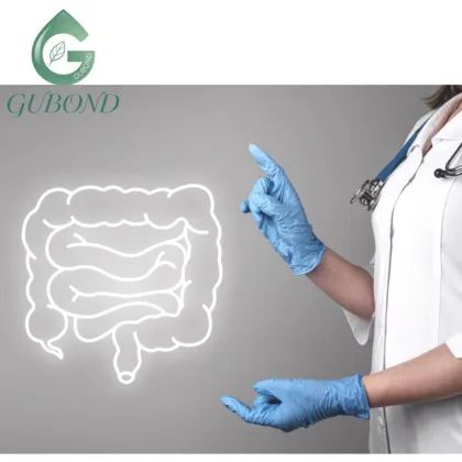 Lactobacillus acidophilus 10 Billion CFU Probiotic Powder