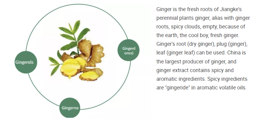 Ginger Extract 2