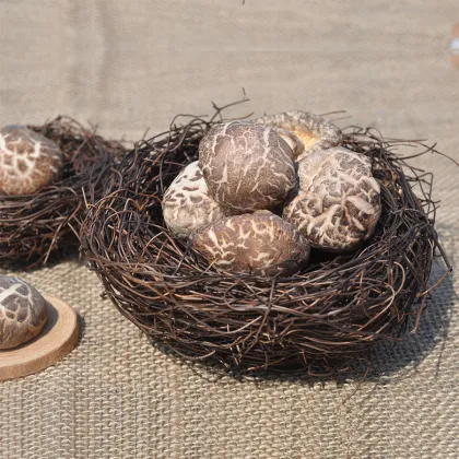 New Arrival Air Dried Shiitake Mushroom