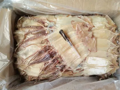 seafood frozen seafood frozen squid