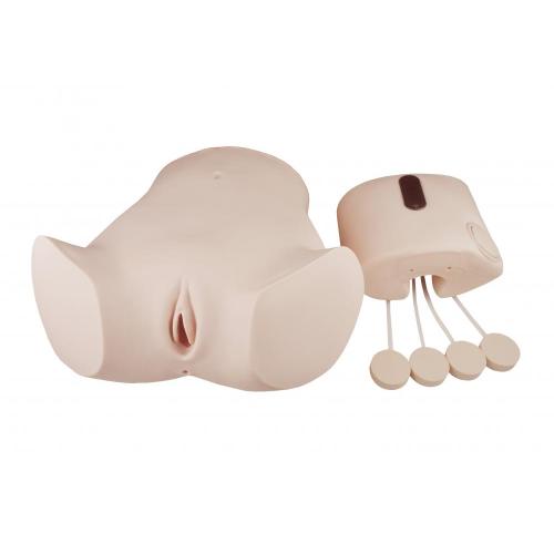 Obstetrics And Gynecology Skills Abdominal Cavity Puncture Model Supplier