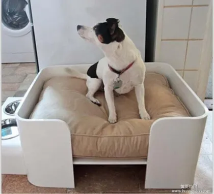 Fashion Acrylic pet bed pet Lounge Studios