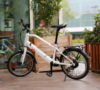 Green Electric Bicycle Hub Motor