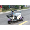 Adult 3 wheel electric trike