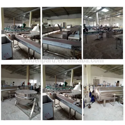 Sardine fish machinery canned fish processing machine