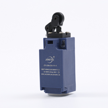Lift safety Limit Switches