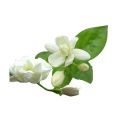 Grade A Jasmine Hydrosol Natural Plant Extract Undiluted